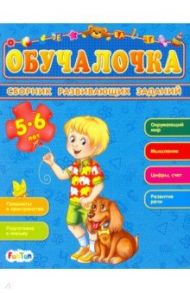 Сборник развивающих заданий. 5-6 лет