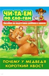 Почему у Медведя короткий хвост