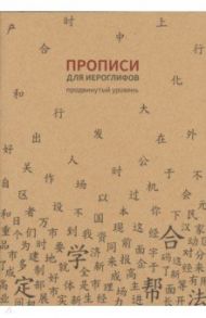 Прописи для китайских иероглифов (Продвинутый уровень)