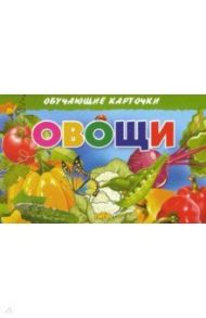 Обучающие карточки. Овощи