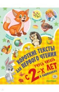 Короткие тексты для первого чтения. Учусь читать с 2-х лет в картинках / Кузечкин Андрей Сергеевич