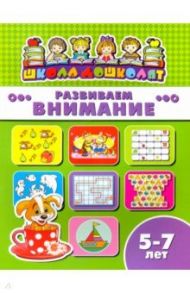 Книжка РАЗВИВАЕМ ВНИМАНИЕ. 5-7 лет (45016)