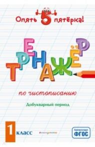 Тренажер по чистописанию. Добукварный период. 1 класс. ФГОС / Пожилова Елена Олеговна