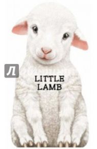 Little Lamb / Caviezel Giovanni
