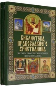 Библиотека православного христианина. Комплект из 2-х книг / Михалицын Павел Евгеньевич