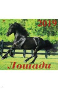 Календарь 2019 "Лошади" (70903)