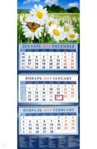 Календарь 2019 "Пейзаж с ромашками и бабочкой" (14935)