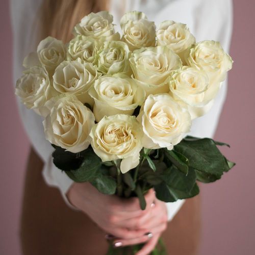Белые розы Эквадор 50
