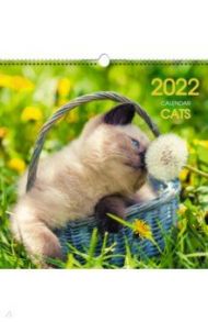 Календарь на 2022 год Домашние любимцы 4, квадратный, средний