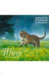 Календарь настенный на 2022 год Символ года 5, Тигр