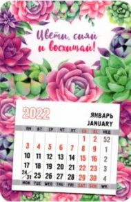 Календарь-магнит 2022 с отрывным календарным блоком Цвети, сияй и восхищай, суккуленты