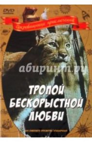 Тропой бескорыстной любви (DVD) / Бабаян Агаси