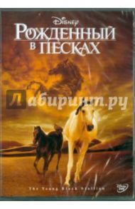 Рожденный в песках (DVD) / Уинсер Саймон