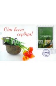 Сорокапятка (открытка) (DVD) / Афонин Вячеслав