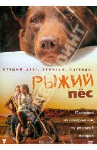 Рыжий пес (DVD) / Стендерс Крив