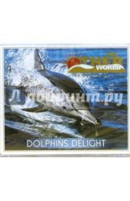 CD. Dolphins Delight