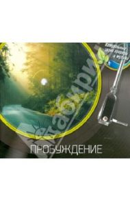 Пробуждение (CD)