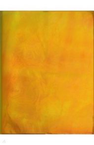 Книга для записей. 100 листов, А5, Chameleon. Оранжевый (КЗХ51002576)