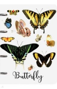 Тетрадь на кольцах (80 листов, А5, клетка), Butterfly (10826-EAC)