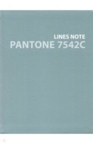 Тетрадь Pantone Color '21 1, А5+, 96 листов, линия