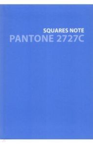 Тетрадь Pantone 7, А6+, 80 листов, клетка
