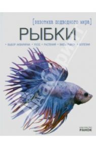Рыбки - экзотика подводного мира / Шейкина Екатерина Александровна