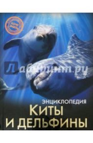 Киты и дельфины / Савостин Михаил
