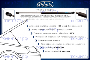 Амортизаторы капота, Аrbori, комплект на Тигго 4