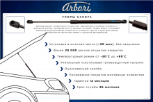 Амортизаторы капота, Аrbori, комплект на Арризо 8