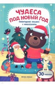Чудеса под Новый год. Книжка с наклейками / Разумовская Юлия