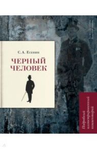 Черный человек. Подробный иллюстрированный комментарий. Учебное пособие / Есенин Сергей Александрович