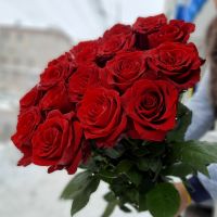 Розы красные  70 см Эксплорер (Эквадор)