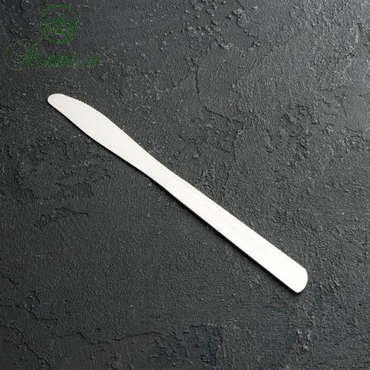 Нож столовый Доляна «Пулкин», 20,6 см, толщина 2 мм