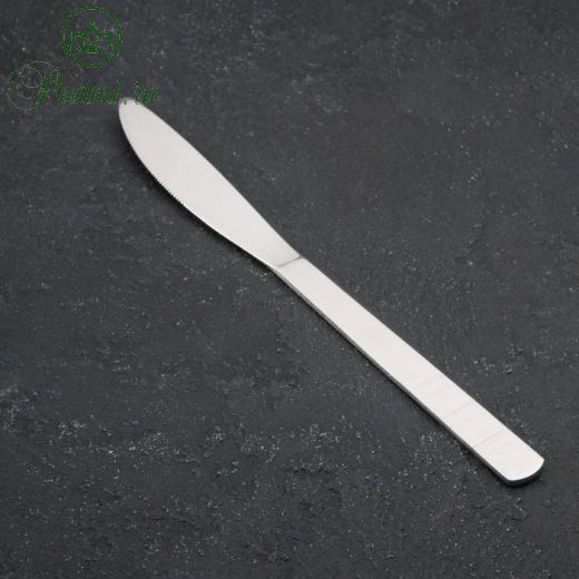 Нож столовый Доляна «Равингтон», 22,3 см