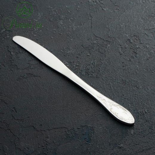 Нож столовый Доляна «Соларис», 22 см, толщина 2 мм