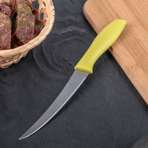 Нож кухонный «Ария», зубчатое лезвие 12 см, цвет МИКС