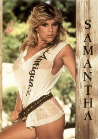 Samantha Fox (Саманта Фокс). Постер (плакат) #5. Размер 30х40 см