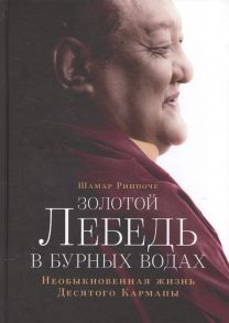 Шамар Ринпоче Золотой лебедь в бурных водах Необыкновенная жизнь Десятого Кармапы