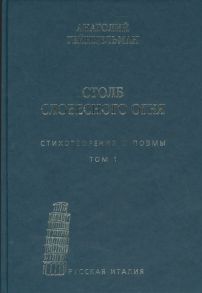 Гейнцельман А. Столб словесного огня Стихотворения и поэмы комплект из 2-х книг в упаковке