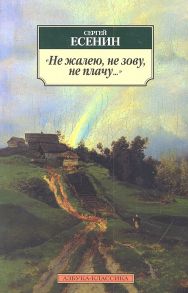 Есенин С. Не жалею не зову не плачу Стихотворения