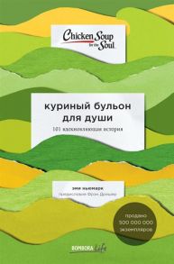 Ньюмарк Э. Куриный бульон для души 101 вдохновляющая история о сильных людях и удивительных судьбах