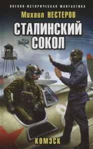 Нестеров М. Сталинский сокол Комэск