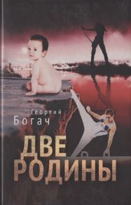 Богач Г. Две родины Роман