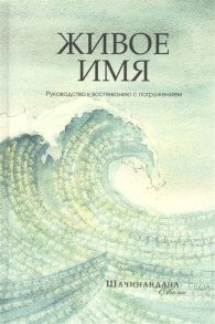 Шачинандана Свами Живое имя Руководство к воспеванию с погружением