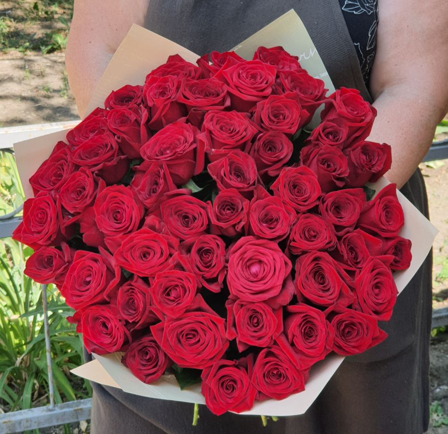 Розы красные 60 см (от 15 шт)