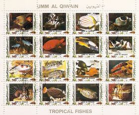 Тропические рыбы Умм Эль Кайвайн Лист марок 1972