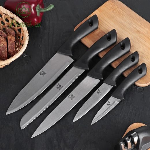 Набор кухонных ножей «Энеолит», 5 предметов: лезвие 8,5 см, 12,5 см, 19,5 см, 20 см, 20 см, цвет чёрный