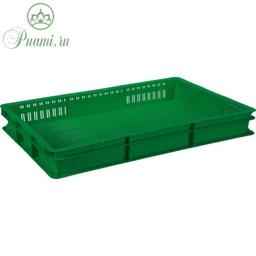 Ящик универсальный, перфорированный 600x400x75 зеленый