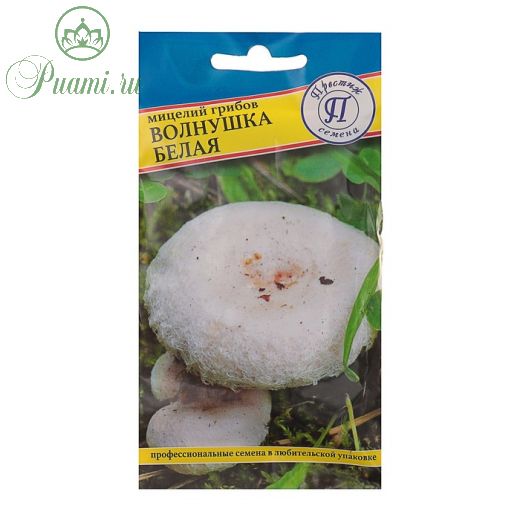 Мицелий грибов Волнушка белая, 60 мл