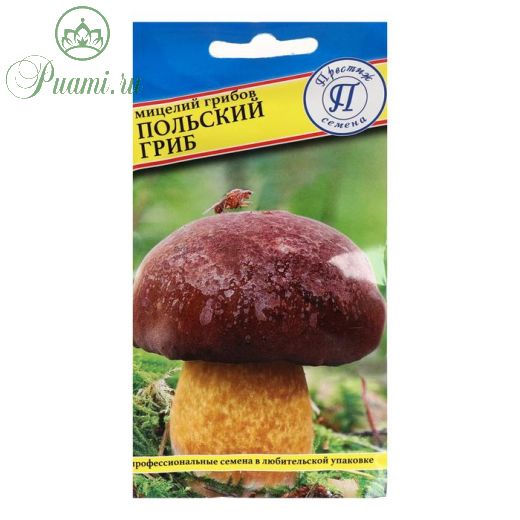 Мицелий грибов Польский гриб,   60 мл